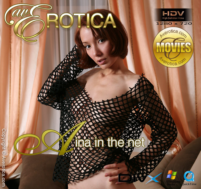 avErotica movie - Aina In The Net - Aina